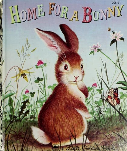 Home for bunny little - a, (little